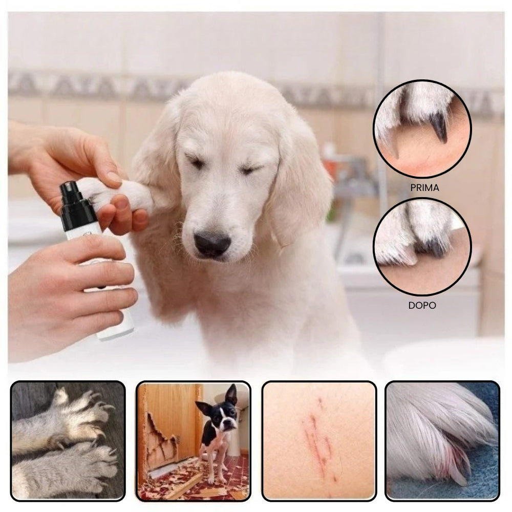 Lima Elettrica per Cani e Gatti