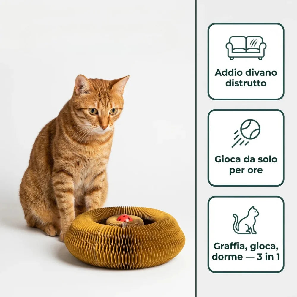 Tiragraffi per Gatti