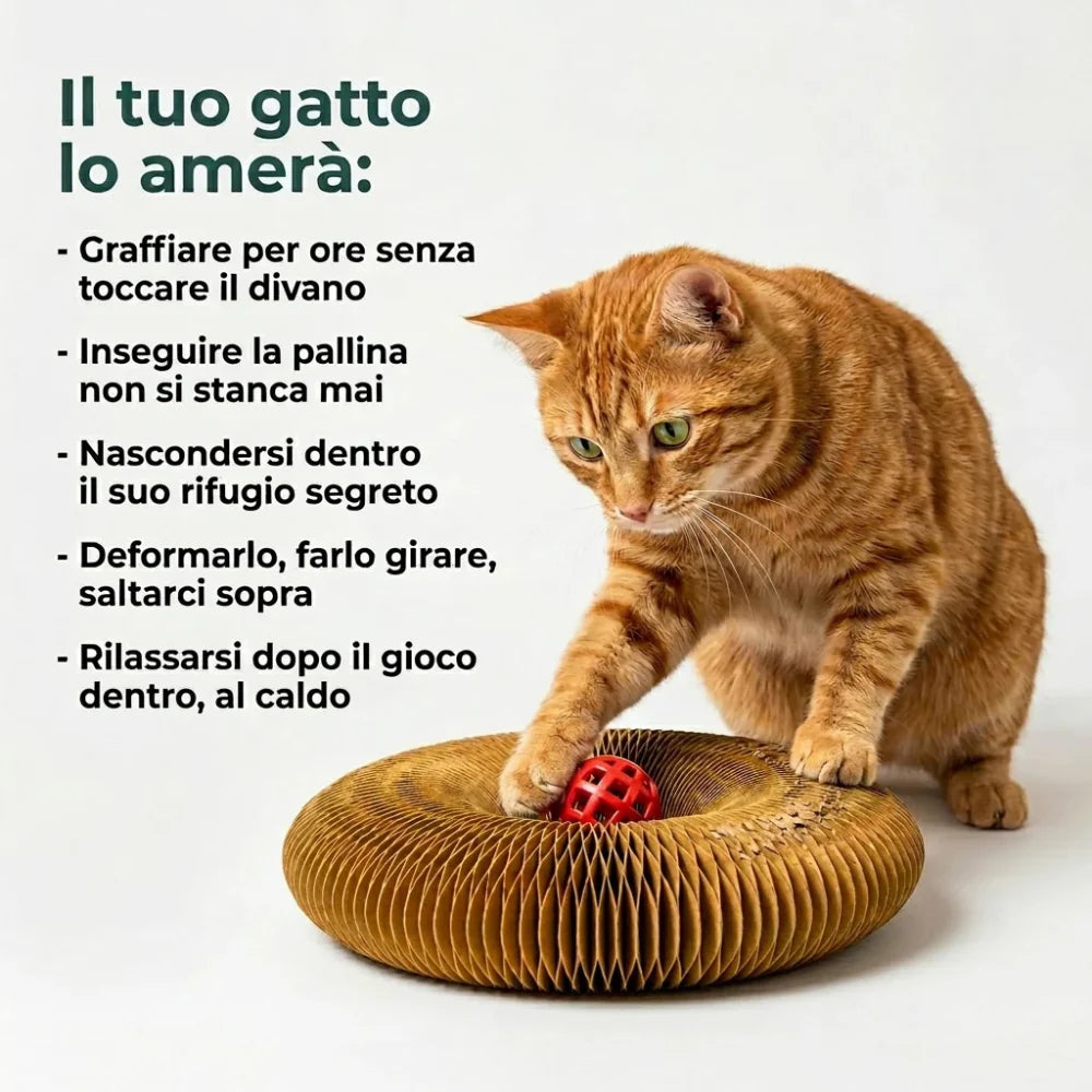 Tiragraffi per Gatti