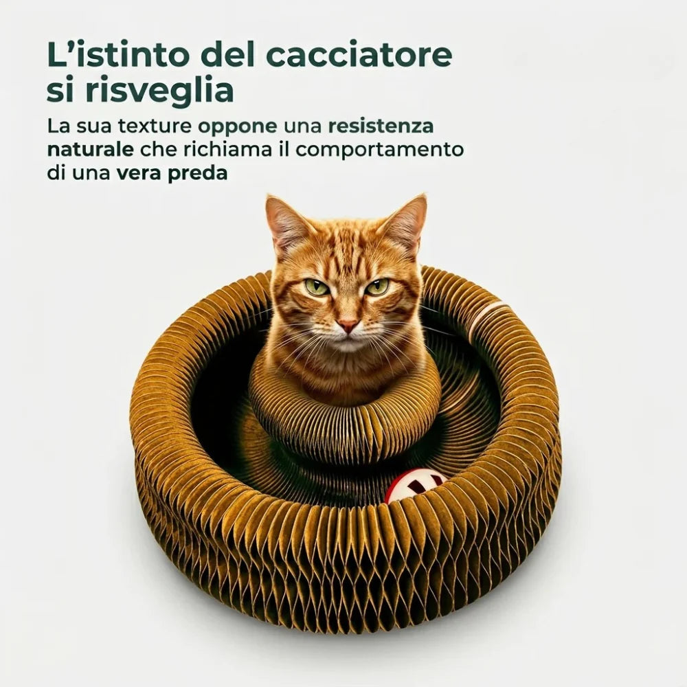 Tiragraffi per Gatti