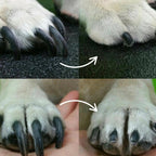 Lima Elettrica per Cani e Gatti